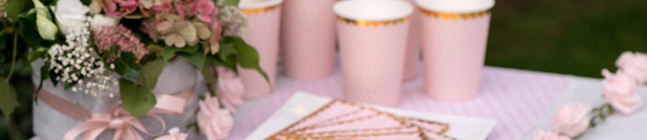 Tema de cumpleaños BB Rosa para tu niño