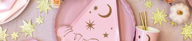 Tema de cumpleaos Bruja Rosa para tu nio