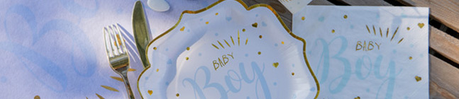 Tema de cumpleaos Baby Boy para tu nio