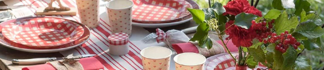 Tema de cumpleaos Pic nic para tu nio