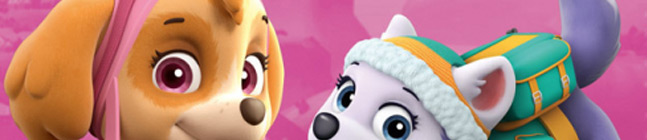 Tema de cumpleaos Paw Patrol Rosa para tu nio