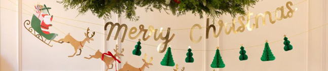 Tema de cumpleaos Pap Noel, Trineo y Renos para tu nio