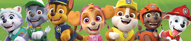 Tema de cumpleaos Paw Patrol Rescue Heroes para tu nio