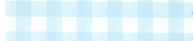 Tema de cumpleaos Festoneada vichy azul para tu nio