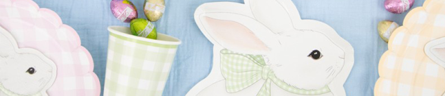 Tema de cumpleaos Pastel Vichy para tu nio