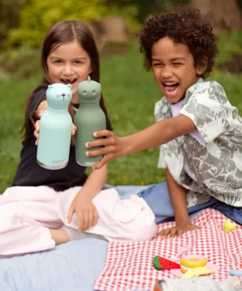 Botellas y Lunch box