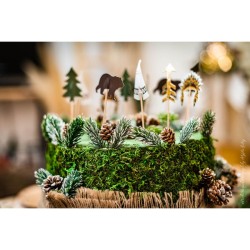 20 Cake Toppers Bosque Indio. n°1