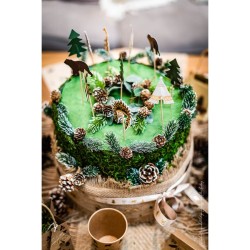 20 Cake Toppers Bosque Indio. n°2