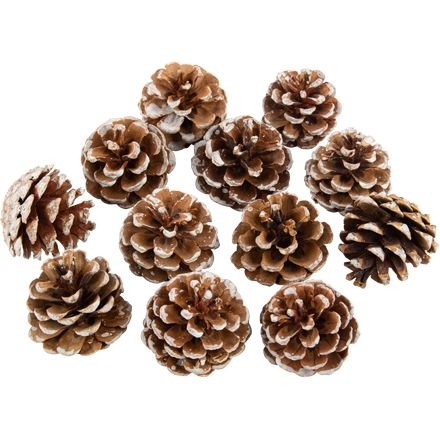 12 pias de nieve naturales - 6 cm 