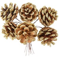 6 pias en tallo natural con purpurina dorada - 14cm