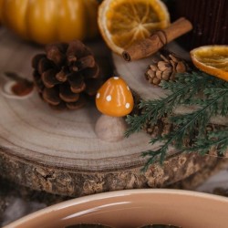 Surtido de hojas de arce,  ramitas y setas en resina. n°1