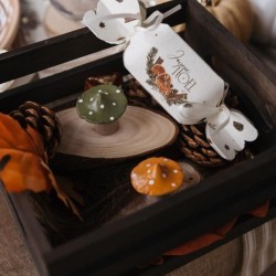 Surtido de hojas de arce,  ramitas y setas en resina. n°3