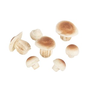 Juego de 7 hongos de espuma de color natural