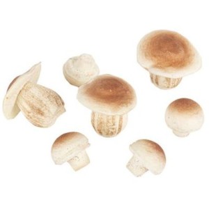 Juego de 7 hongos de espuma de color natural