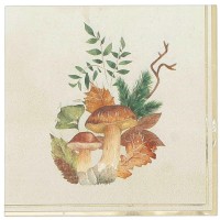 Contiene : 1 x 16 servilletas Autumn Walk