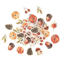 Caja de fiesta grande Autumn Walk. n4