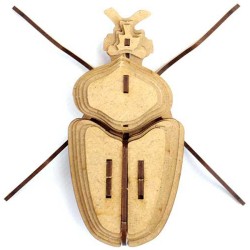 Trofeo de insectos - Globulus Giganticus. n1