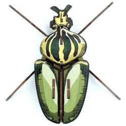 Trofeo de insectos - Globulus Giganticus. n°2