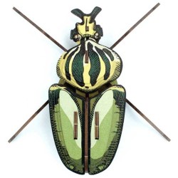 Trofeo de insectos - Globulus Giganticus. n2