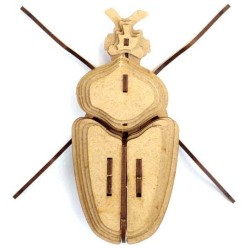Trofeo de insectos - Globulus Giganticus. n4