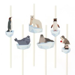 Grande Party Box de animales polares. n5