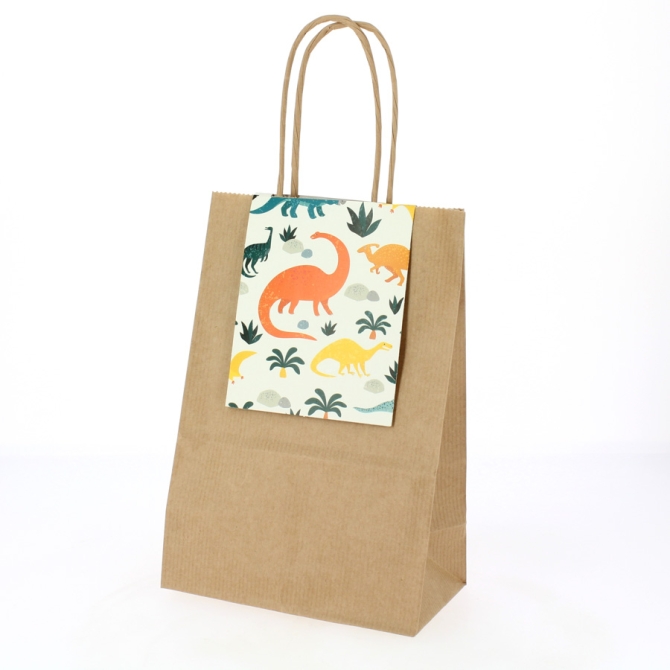 6 bolsas de regalo Dinosaurios - Reciclables 