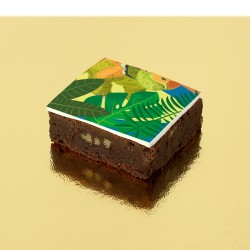 Brownies Dino T-Rex. n°1