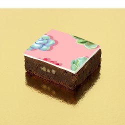 Brownies de cactus - Personalizables. n1