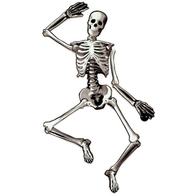 Esqueleto articulado Deco (1, 34 m) - Cartn 