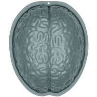 molde cerebral