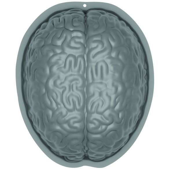 molde cerebral 