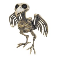 Cuervo esqueleto