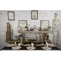 16 Servilletas calavera - Gabinete de Curiosidades. n7