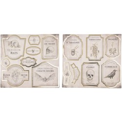 Grande Party Box Gabinete de curiosidades. n5