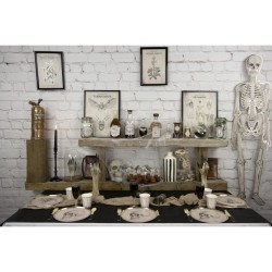 Esqueleto articulado - Gabinete de Curiosidades. n2
