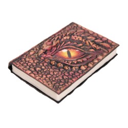 Libro de Magia de Dragn. n1
