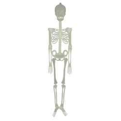 Esqueleto fosforescente - 150 cm. n1