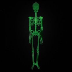 Esqueleto fosforescente - 150 cm. n2