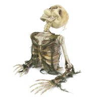 Esqueleto aterrador de un muerto viviente