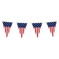 Banderines de fiesta americana