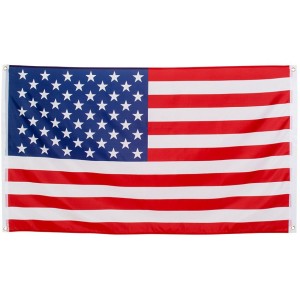 Bandera del Partido Americano (90 x 150 cm)