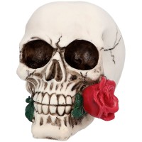 Calavera Casanova - 14 cm