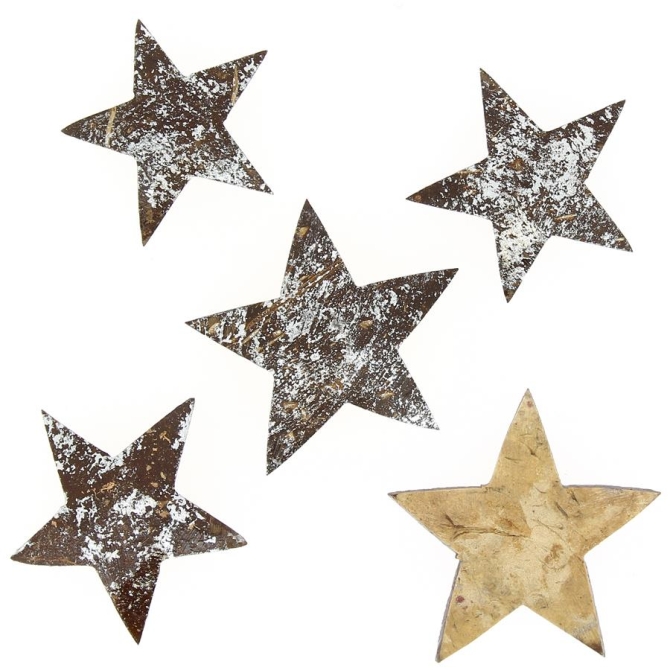 5 Estrellas Plata Cepillada (5-6 cm) - Coco natural 