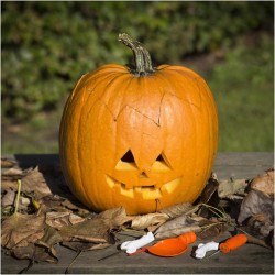 Kit descorazonador de calabazas. n4