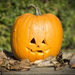 Kit descorazonador de calabazas. n6