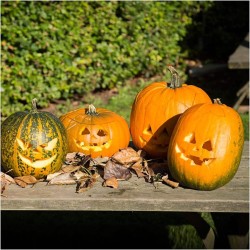 Kit descorazonador de calabazas. n7