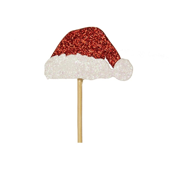12 fotos gorro de Pap Noel 