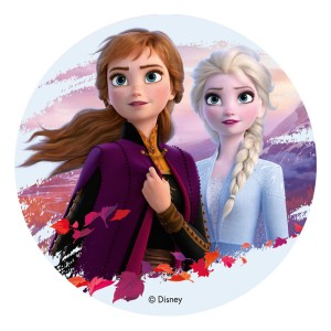 Disco Elsa y Anna - Frozen 2 (20 cm) - cimo