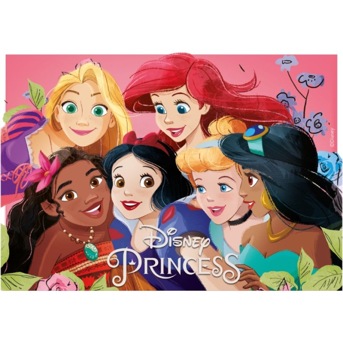 Plato Rectángulo Princesas Disney - Comestible 