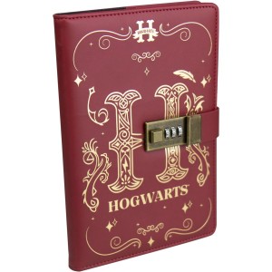 Cuaderno secreto - Harry Potter
